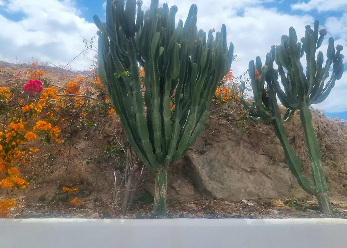Tranquil Hillside With Oceanview And Pool Lägenhet *
