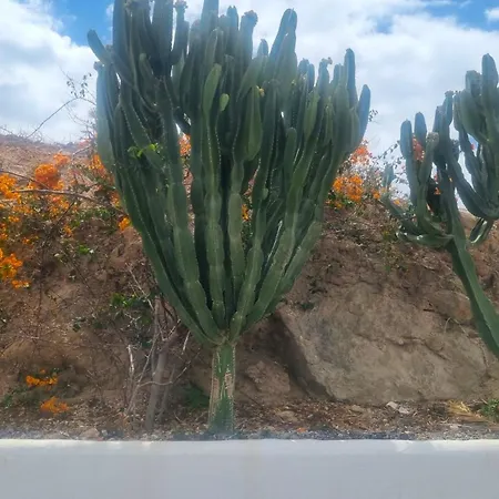 Tranquil Hillside With Oceanview And Pool Apartman *